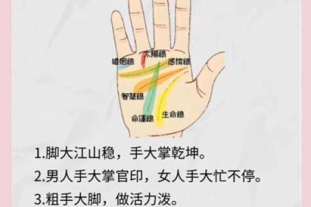 探索命运：用这些方法揭示你的命格秘密！