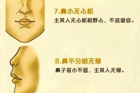 面相学揭秘：如何通过面相判断你的命格与运势