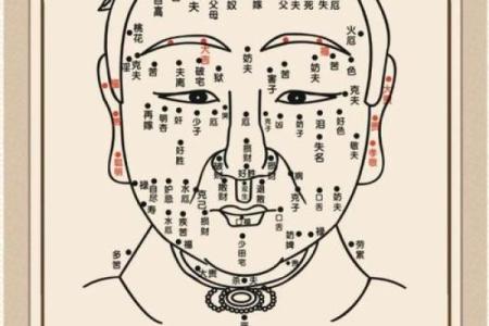 女人眼角下垂的面相解析与命运启示