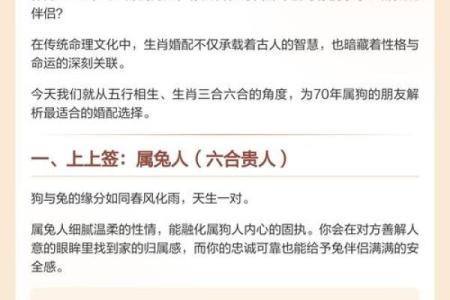 揭秘70年是什么年庚什么命，探索与命运的深厚联系