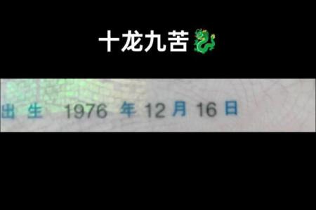 64年农历有哪些命理特征？探索属龙的命运之旅！
