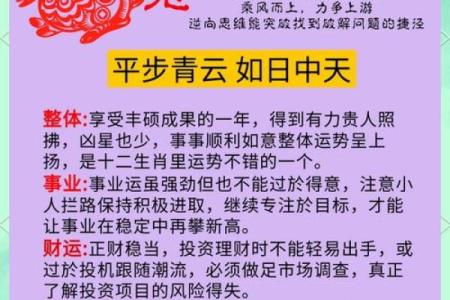 2023年属兔的命运分析：如何发挥兔子的聪明才智与柔和力量