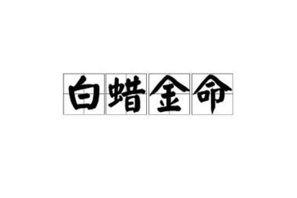 名字带金字的命运解析:如何影响你的生活与事业 名字带金字的命运解析:如何影响你的生活与事业