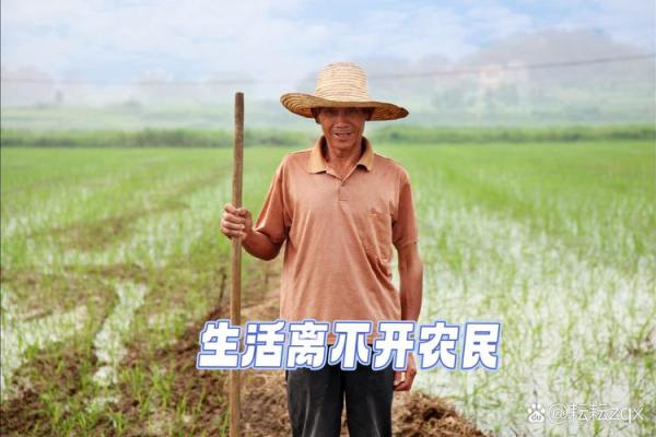 农民的命：土地与希望的永恒交织