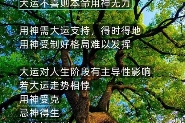 揭开八字原命局的神秘面纱:女性命格解析与生活的启示 揭开八字原命局的神秘面纱:女性命格解析与生活的启示