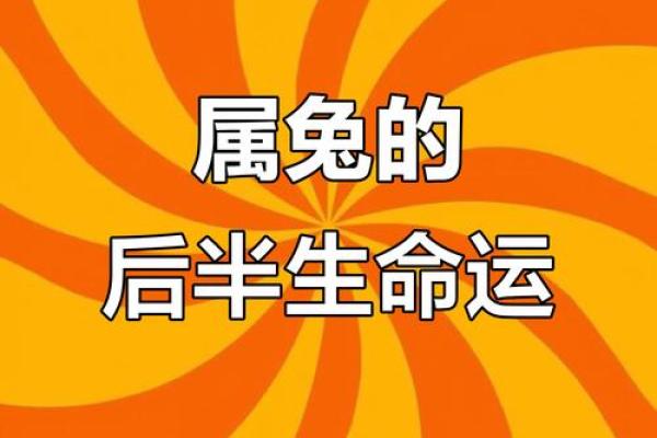 2018年兔命解析：兔子带来的幸运与挑战