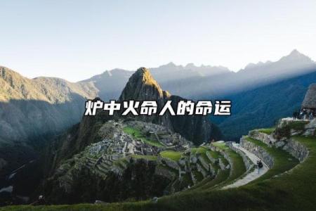 炉中火命：销售事业的最佳选择与发展方向