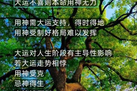 揭开八字原命局的神秘面纱：女性命格解析与生活的启示