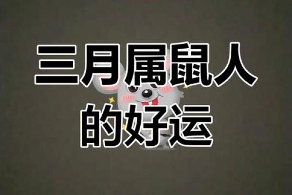 1984年女鼠的命运揭秘：如何与天生性格和谐共生