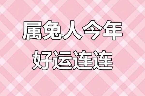 2032年兔年运势揭秘：你属于哪一种命？