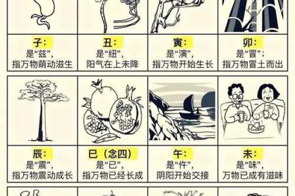 2034年属什么?详解命运与生肖的奥秘! 2034年属什么?详解命运与生肖的奥秘!