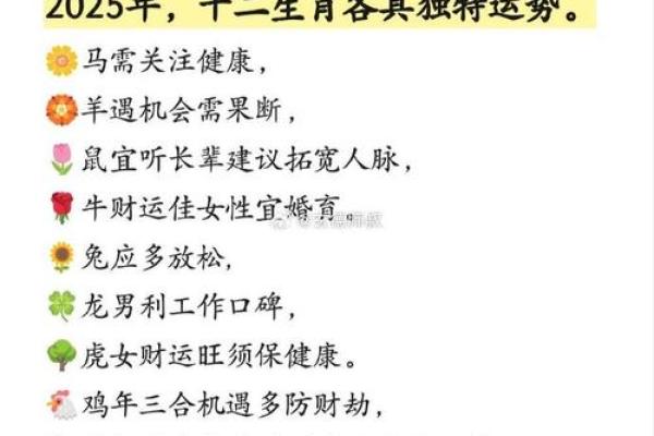 2034年属什么?详解命运与生肖的奥秘! 2034年属什么?详解命运与生肖的奥秘!