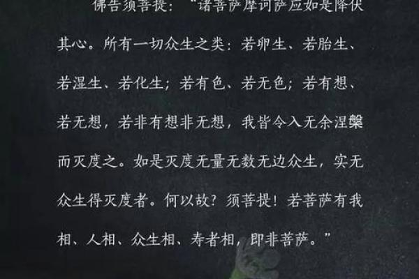 探寻菩提命的奥秘，理解生命的深意与指引