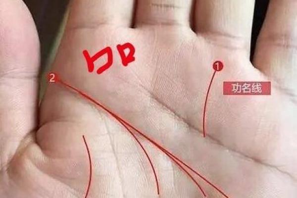 了解男士手指细腻的命运：从指纹看人生轨迹