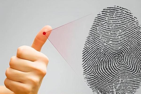 了解男士手指细腻的命运：从指纹看人生轨迹