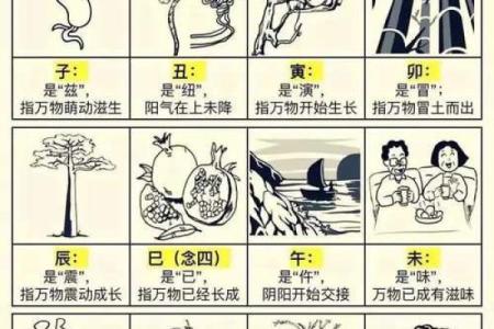 2034年属什么？详解命运与生肖的奥秘！