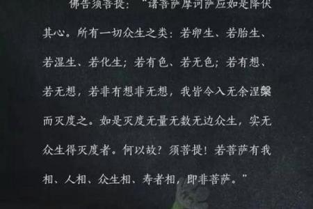 探寻菩提命的奥秘，理解生命的深意与指引