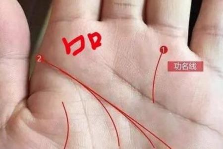 了解男士手指细腻的命运：从指纹看人生轨迹