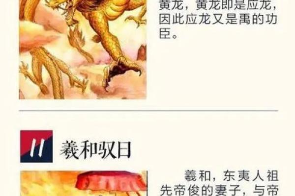神秘的告命夫人：她背后的故事与传说