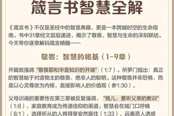 命元的意义与探索：揭示生命背后的神秘力量