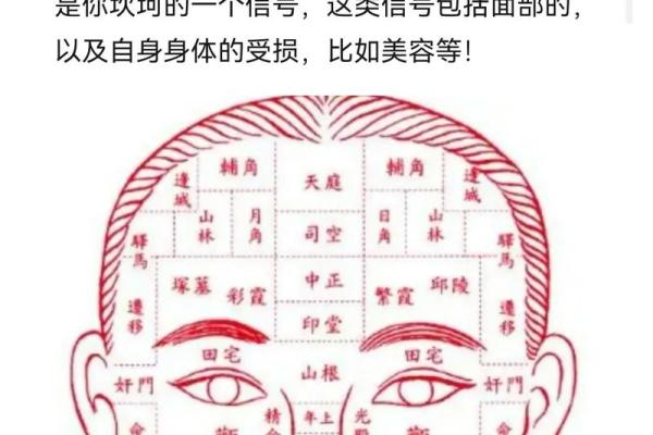 额头高的人命运解析：揭开面相与性格之间的奥秘