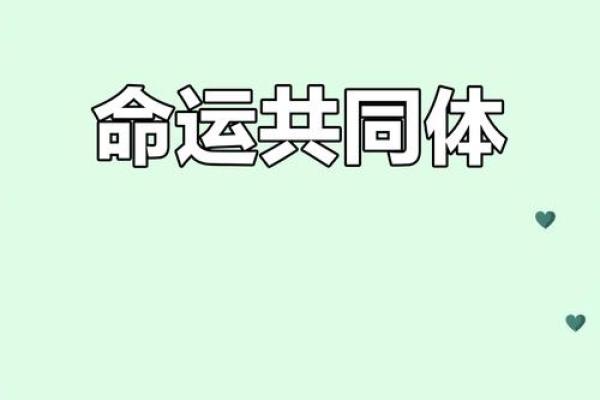 大林木命人的最佳伴侣：如何选择最配的命中注定之妻