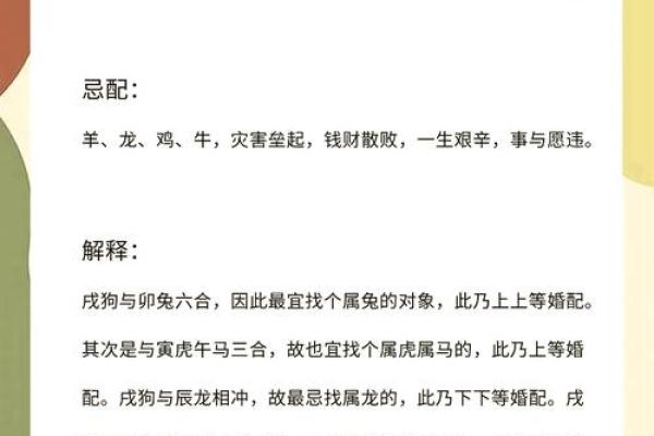 属狗女性的命运与脾气解析：忠诚与温柔的独特魅力