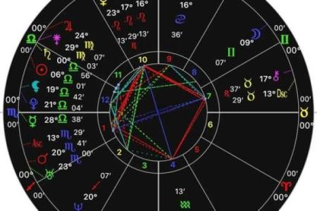 菊花命：探索这一特殊命格的独特特征与人生轨迹