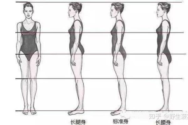 探秘腿长与腿短：如何影响女生的命运与魅力！