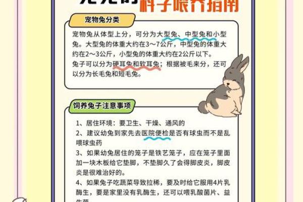 2006年兔年出生的人命运与性格解析：揭秘兔子的神秘魅力与命理奥秘