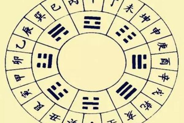 创金命与海金命：解密两者之间微妙的区别与影响