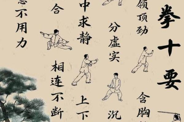 探寻太极命理学的奥秘:智慧与和谐的结合之道 探寻太极命理学的奥秘:智慧与和谐的结合之道