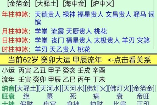 探寻命理奥秘：癸酉辛酉乙卯癸未命运解析