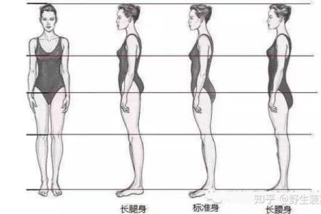 探秘腿长与腿短：如何影响女生的命运与魅力！