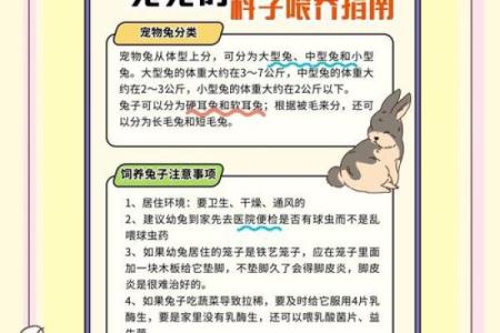 2006年兔年出生的人命运与性格解析：揭秘兔子的神秘魅力与命理奥秘