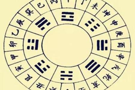 创金命与海金命：解密两者之间微妙的区别与影响