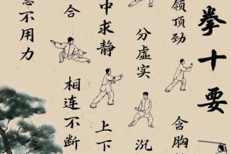 探寻太极命理学的奥秘：智慧与和谐的结合之道