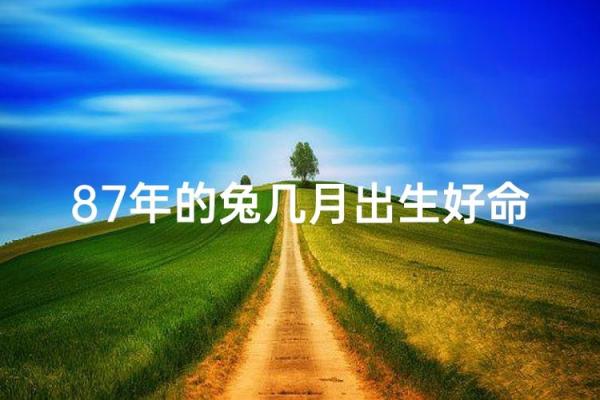 1987年属兔人的命运分析与人生启示