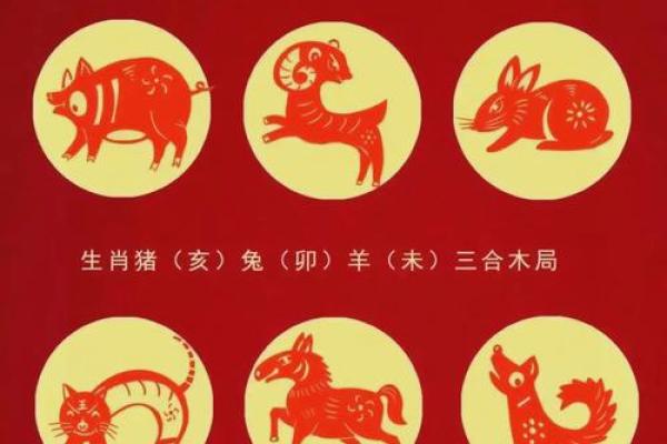 揭秘12年生肖与命运：你属于哪一种？