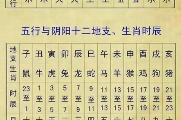 一命两命的神秘生肖解析：揭示命运的奥秘与生肖的联系
