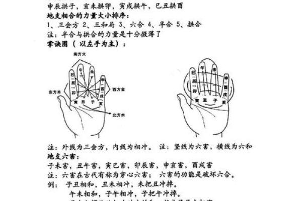 命理学爱好者必读：探寻命运的智慧与科学