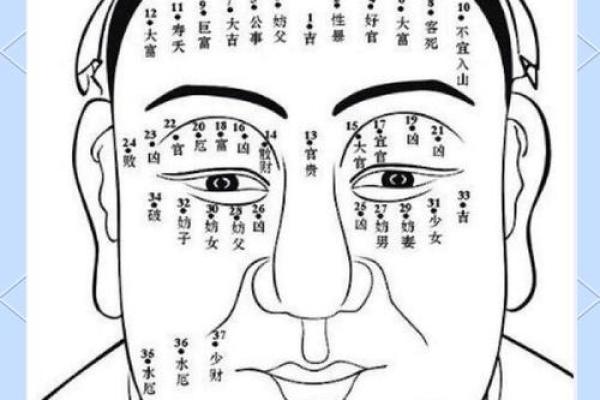 眉毛断了的面相秘密：揭示命运的隐藏线索！