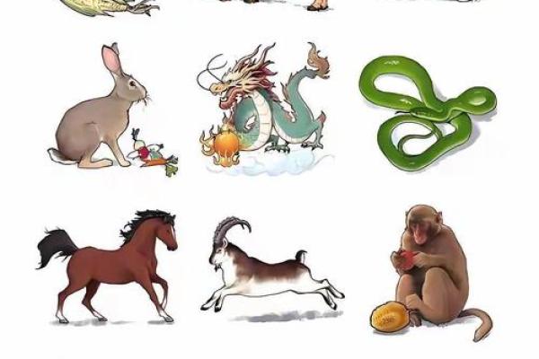 根据属相判断命运：探索十二生肖背后的智慧与秘密
