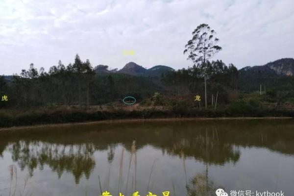 丁酉命之人宜葬的方向探讨与文化意义解读