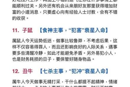 揭秘12年生肖与命运：你属于哪一种？