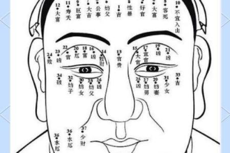 眉毛断了的面相秘密：揭示命运的隐藏线索！