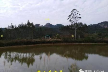 丁酉命之人宜葬的方向探讨与文化意义解读