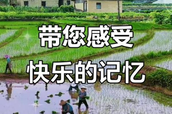 回忆与希望：2012年6月的那些美好瞬间