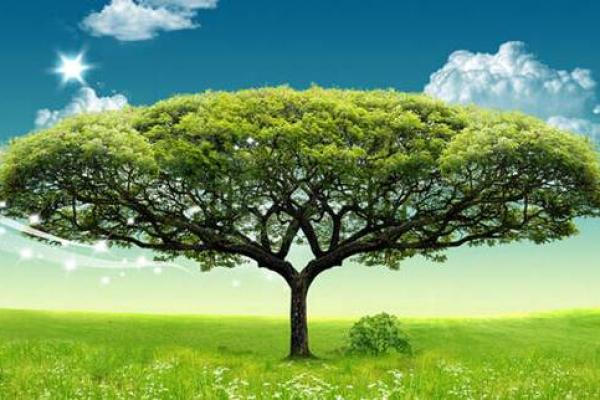 大林木命的人最适合的颜色及其影响力解读