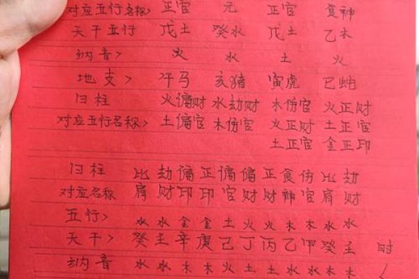 探索乙亥、丁亥、辛亥：命理中的神秘密码与人生启示